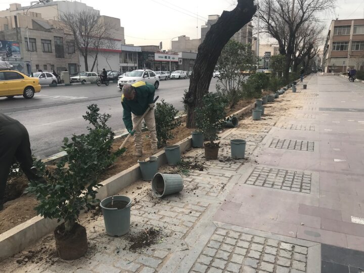 کاشت ٢٠٠ اصله درختچه با رویکرد مدیریت بهینه مصرف آب                   