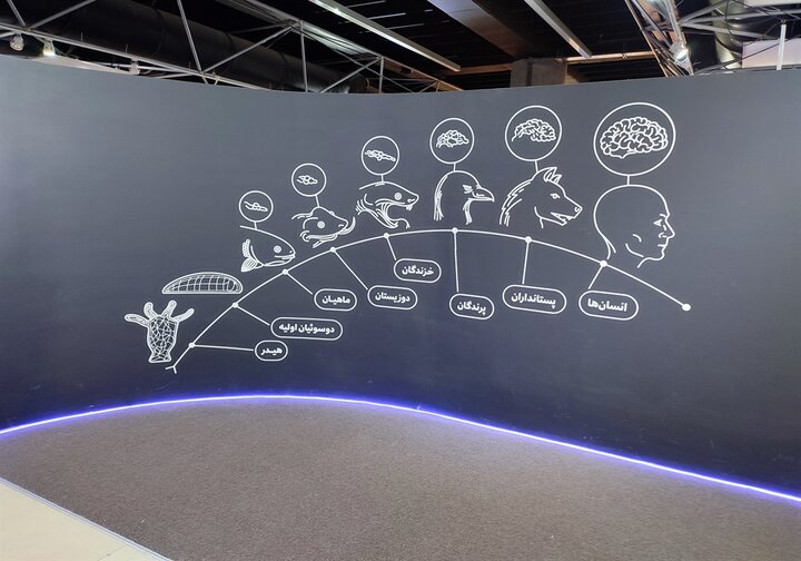در پردیس «مغز من»، با پیچیدگی مغز آشنا شوید