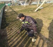 اجرای عملیات مبارزه با جانوران مضر شهری در منطقه ۹