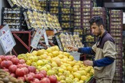 میوه‌جات را ۴۴درصد ارزان‌تر از سطح شهر در میادین میوه و تره‌بار بخرید