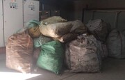 جمع‌آوری زباله‌گردها و کتفی‌کولی‌ها در معابر غربی منطقه۱۴