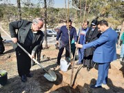 کاشت درخت در بوستان جنگلی چیتگر با شعار هر ایرانی ۳ درخت