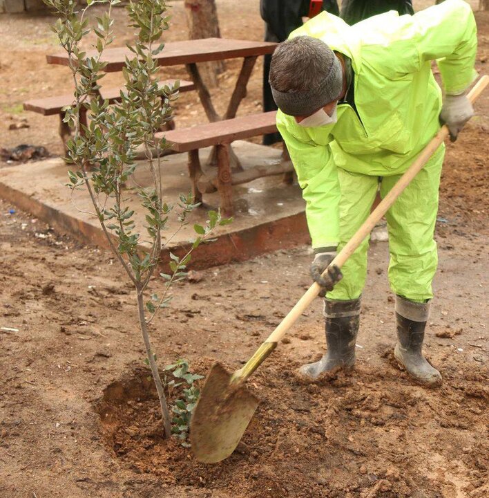 آغاز جایگزینی درختان در بوستان جنگلی سرخه‌حصار
