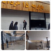 ساماندهی دستفروشان پانزده خرداد با برپایی"روزبازار عودلاجان" در منطقه۱۲