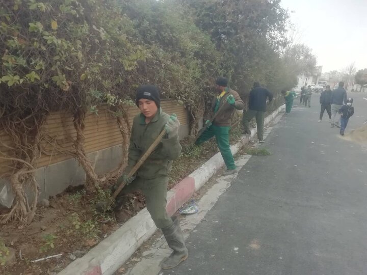 کاشت بیش از 3 هزار درختچه در مجموعه ورزشی آفتاب انقلاب منطقه13