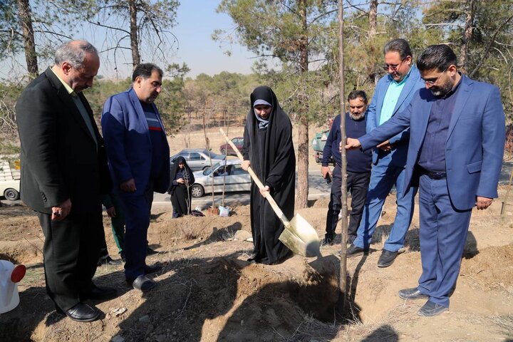 کاشت درخت توسط شهروندان در بوستان چیتگر