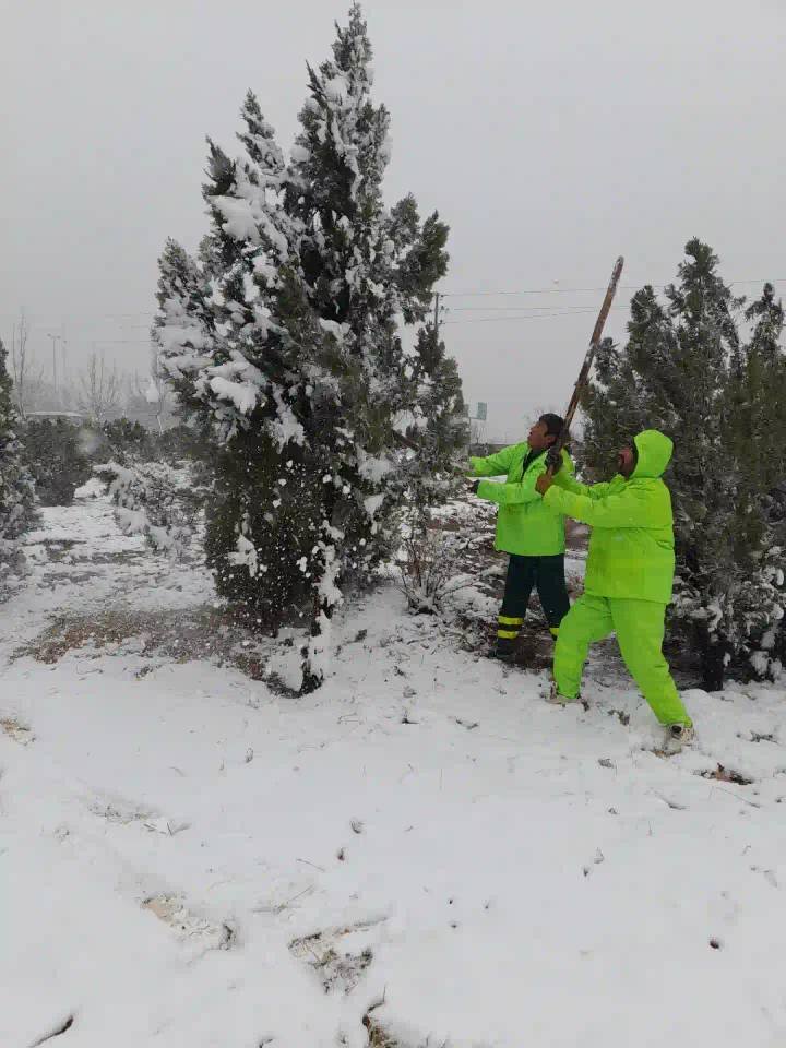 آخرین وضعیت مناطق برفگیر پایتخت