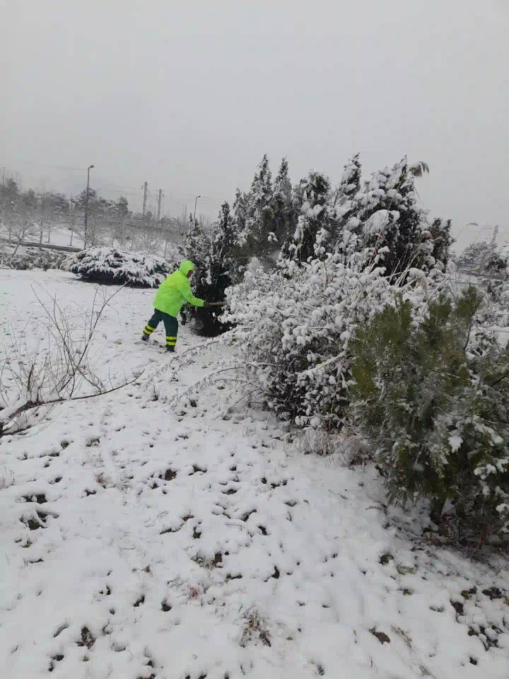 آخرین وضعیت مناطق برفگیر پایتخت