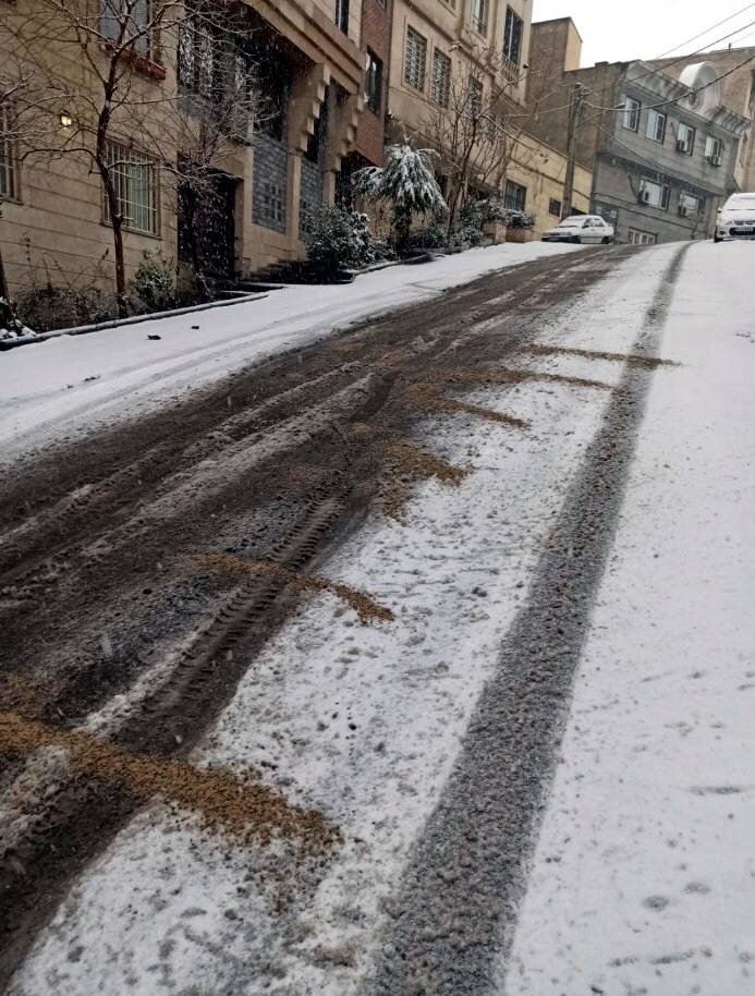 رصد مستمر معابر اصلی به منظور تسهیل تردد شهروندان/ برفتکانی از درختان شهر انجام میشود