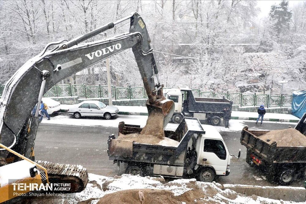 رصد مستمر معابر اصلی به منظور تسهیل تردد شهروندان/ برفتکانی از درختان شهر انجام میشود