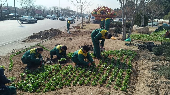 کاشت بیش از ۱۶۰۰ اصله درخت و درختچه در عرصه‌های فضای سبز منطقه ۱۹
