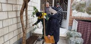 هدیه بیش از ۱۰ هزار اصله درخت به شهروندان