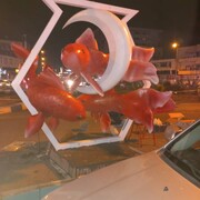 نصب المان تنگ ماهی در میدان امام خمینی(ره)