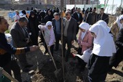 اجرای پویش ملی ایران سبز با کاشت ۳۲ هزار اصله نهال در منطقه۲