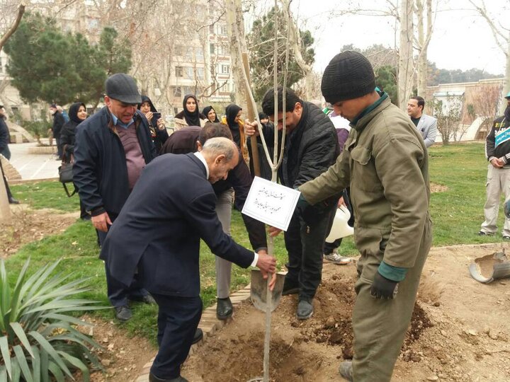 کاشت ۲۰۰ اصله نهال توسط دوستداران محیط زیست در منطقه۱۳
