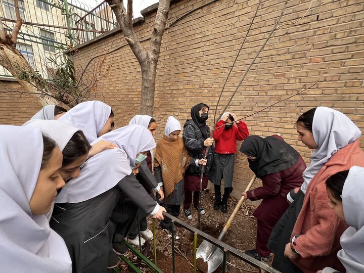 غرس ۱۵۰ نهال در ۳۰ مدرسه منتخب منطقه ۱۵
