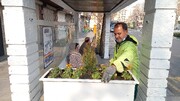انتظار سبز مسافران ایستگاه اتوبوس بهار در خیابان مجاهدین اسلام