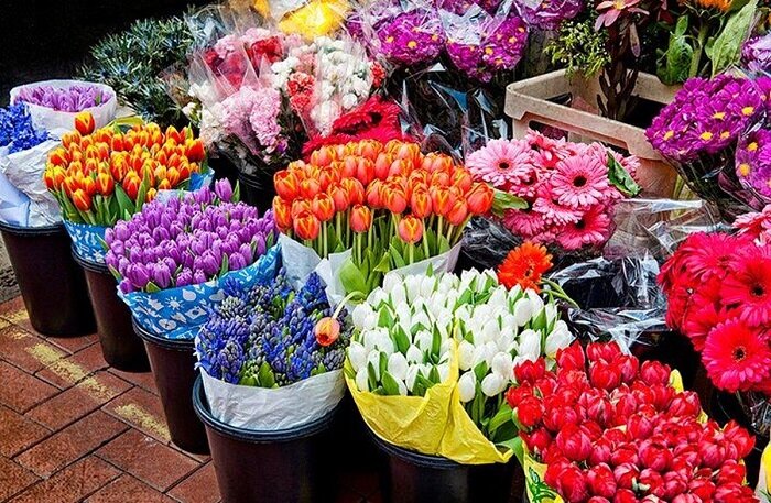 بازار گل شادمان آماده خدمت‌رسانی به شهروندان منطقه۲