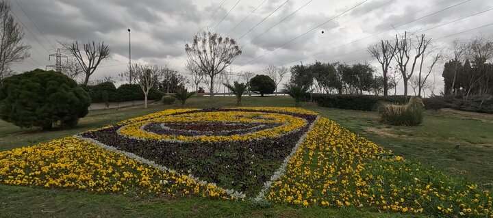 منطقه ۲۰ با کاشت ۱٠٠ هزار گلدان نشاء فصلی رنگارنگ شد