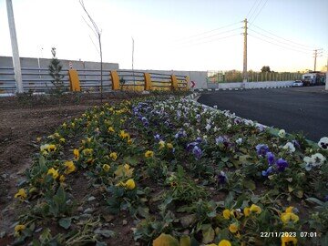 بلوار الغدیر در جنوبغرب پایتخت رخت بهاری به تن کرد