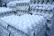 قیمت تخم مرغ پوسته سفید در میادین و بازارهای میوه و تره‌بار کاهش یافت