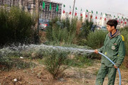 حذف آبیاری تانکری فضای سبز حاشیه بزرگراه شهید همدانی