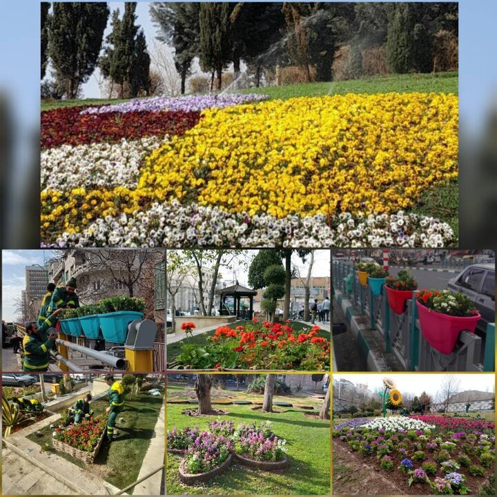 شهرداری منطقه ۶ تهران برای ایجاد پهنه‌ای سرسبز و بهاری چه اقداماتی انجام داد؟