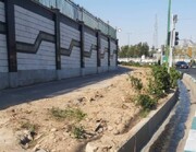 طی اجرای پروژه زیرگذر میدان سپاه در اتوبان صیادشیرازی درختی قطع نشده است