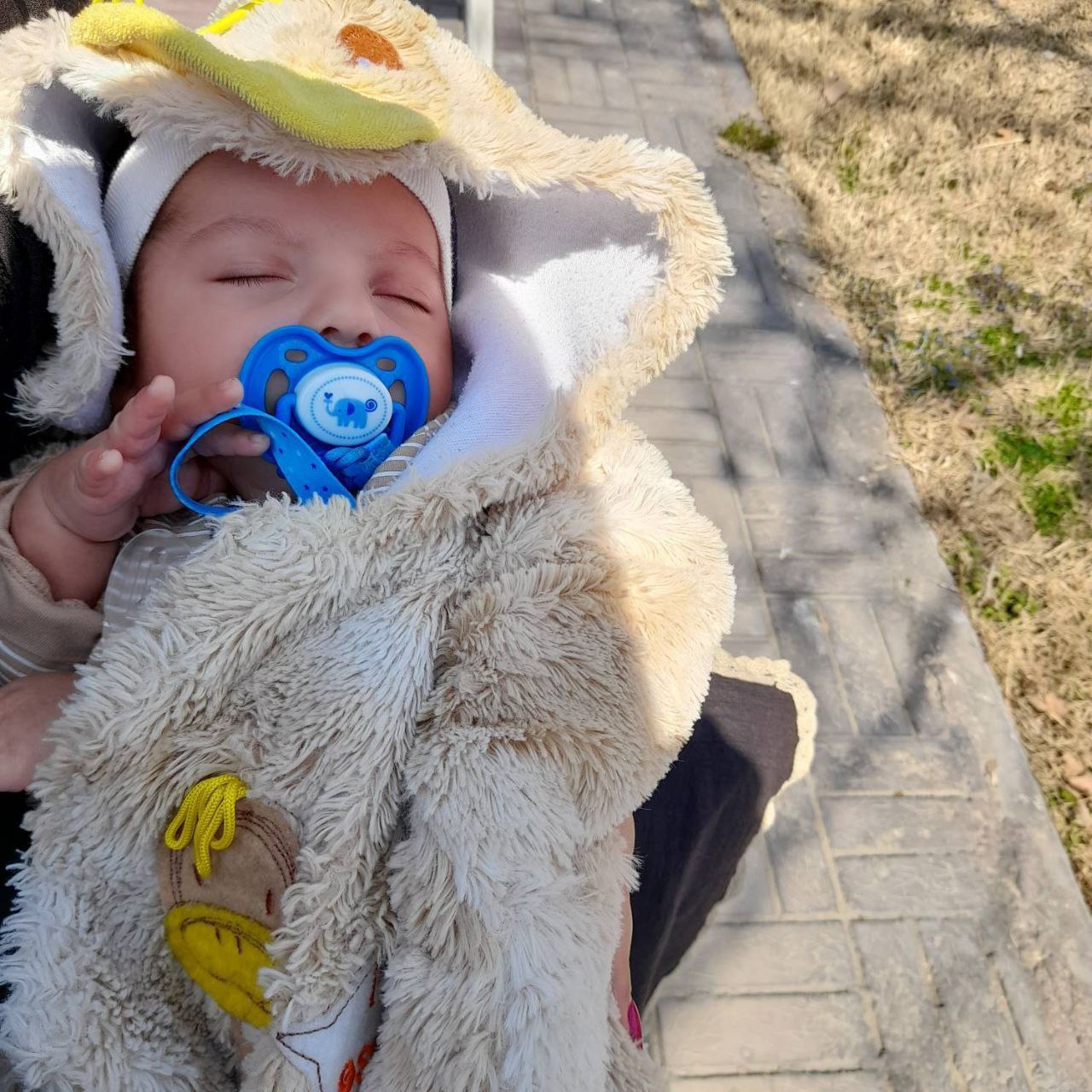 اختتامیه سومین پویش "نفسهای تازه شهر" در دارالمومنین طهران