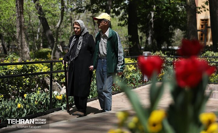 باغ ایرانی میزبان لاله‌ها