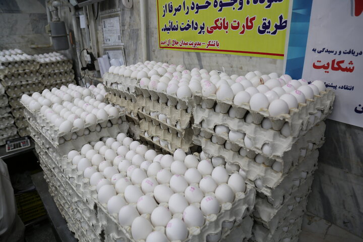 قیمت تخم‌مرغ در میادین و بازارهای میوه و تره‌بار چند است؟