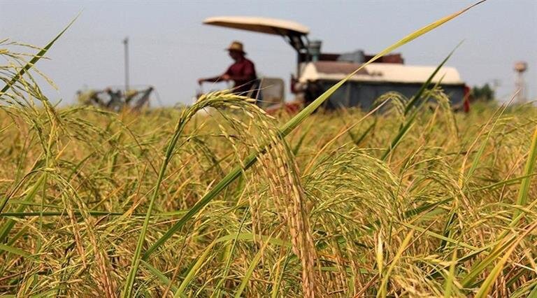 از ساخت، بهسازی و مناسبسازی ۱۱۷ میدان میوه و ترهبار طی ۳۲ ماه اخیر تا راهاندازی سامانه QR-code