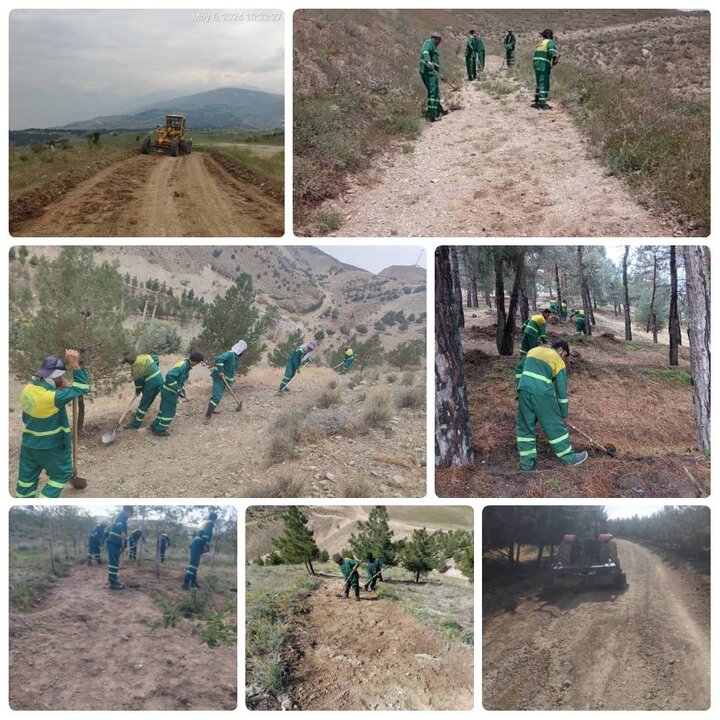 ایجاد "خط آتش بر" در عرصه‌های جنگل‌کاری منطقه ۴