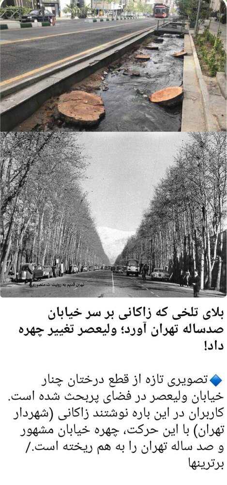دروغپردازیهای حاشیهسازان پروژهبگیر؛ اتفاق ۶سال پیش را به زاکانی نسبت دادند