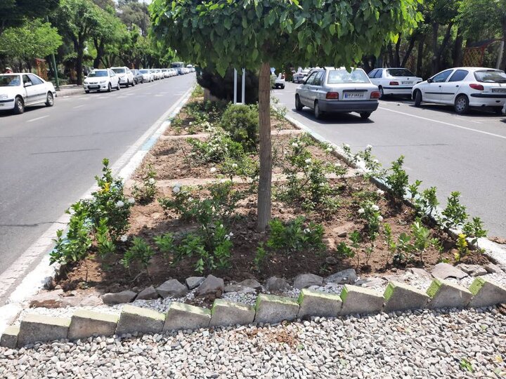 بیش از ۱۰ هزار مترمربع فضای سبز شهری در منطقه ۲۰ احداث شد