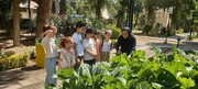 آموزش باغبانی به کودکان در مزرعه خانواده منطقه ۱۶