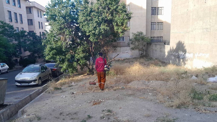 زمین‌های بایر محله سوهانک پاکسازی شد