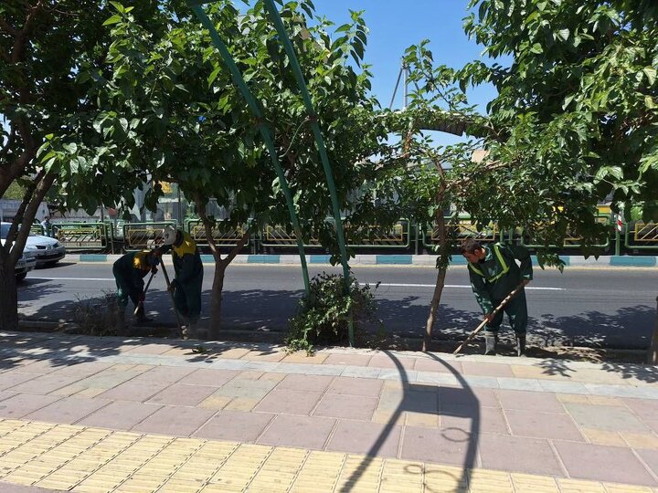 اجرای طرح  «باغچه آراسته» در ناحیه ۲ منطقه ۱۵