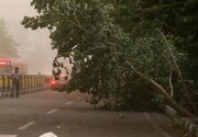 پیش‌بینی وزش باد شدید، گرد و خاک و رعد و برق در تهران