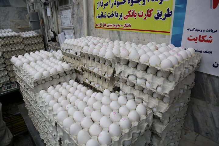 قیمت تخم‌مرغ در میادین و بازارهای میوه و تره‌بار اعلام شد