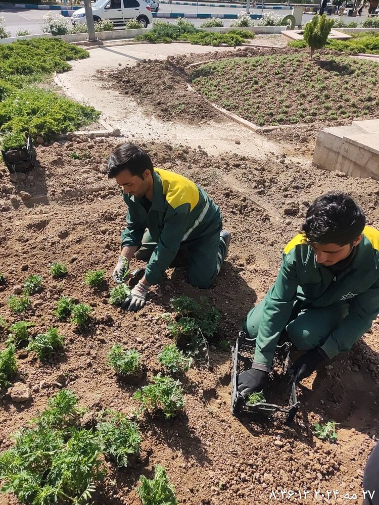 طرح باغچه آراسته در محلات منطقه یک اجرا شد