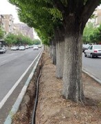 حفاری و لوله‌گذاری ۳۰۰ مترطول برای آبیاری درختان منطقه ۱۹ در قالب طرح الگوی خدمت