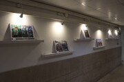 برپایی نمایشگاه عکس عاشورایی در ساختمان شهرداری منطقه ۴