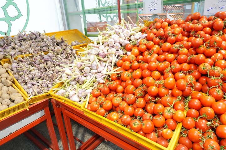 سبزیجات ۳۳ درصد ارزان‌تر از سطح شهر در میادین و بازارهای میوه و تره‌بار عرضه شد