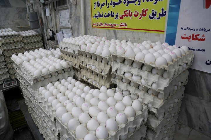 قیمت تخم مرغ پوسته قهوه ای و سفید در میادین و بازارهای میوه و تره‌بار کاهش یافت