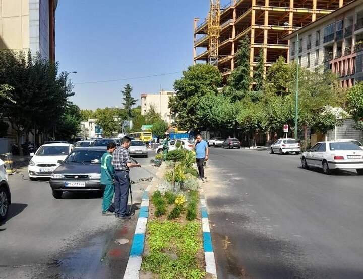 باغچه سنگی در رفیوژ میانی خیابان شهید باهنر اجرا شد
