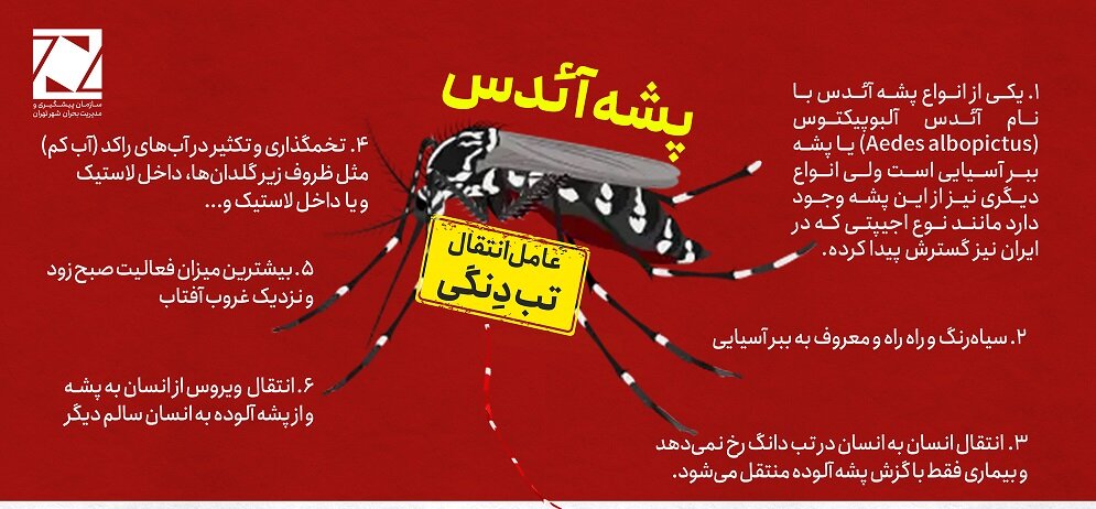 توصیههای سازمان مدیریت بحران تهران برای پیشگیری از «تب دنگی»+ اینفوگرافی و ویدئو