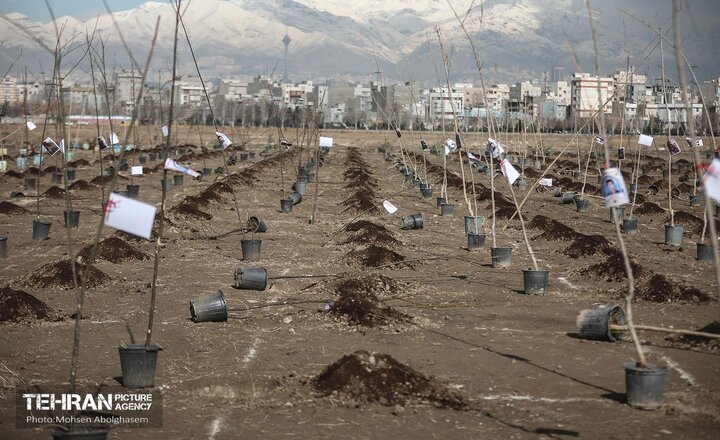 تهران سبزتر از همیشه