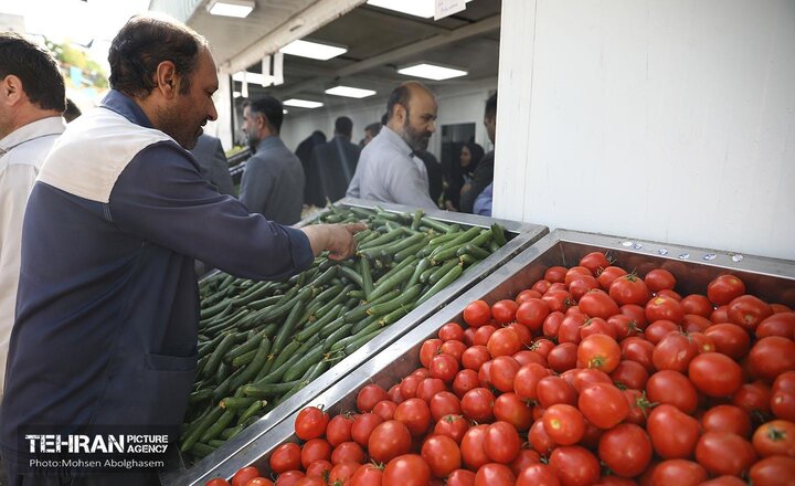 بهره‌برداری از ۱۵میدان تره‌بار جدید تا پایان سال/ ادامه توزیع گوشت تنظیم بازاری در میادین تره‌بار