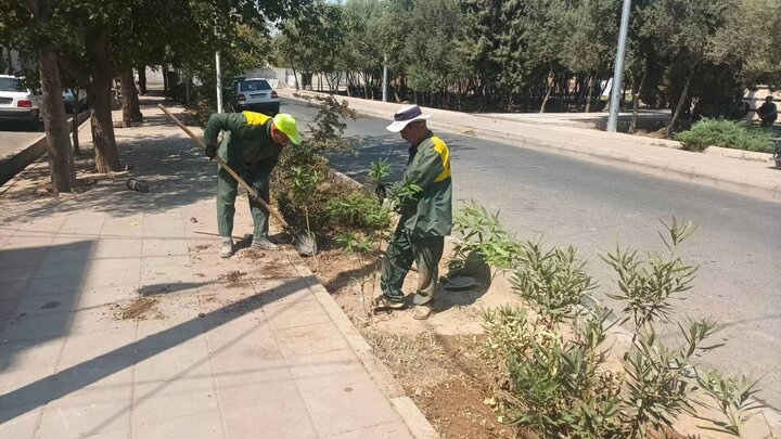 ارتقای طراوت و نشاط در فضای سبز منطقه ۱۹ با کاشت ۱۵۷۰ اصله درخت و درختچه